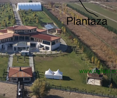 Prodajem plantazu tresanja u podnozju Fruske Gore