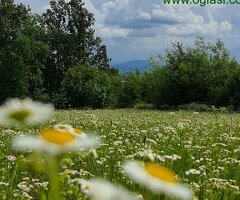 Plac na bregu