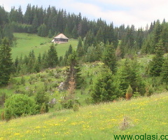 Prodaja zemljišta u Bijelom Polju
