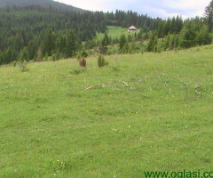 Prodaja zemljišta u Bijelom Polju