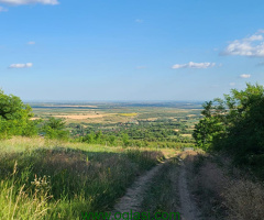 Zemljište 9200 m2 iznad sela Jazak - Fruška gora