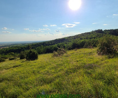 Zemljište 9200 m2 iznad sela Jazak - Fruška gora