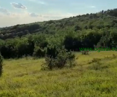 Zemljište 9200 m2 iznad sela Jazak - Fruška gora
