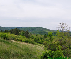 Zemljište 9200 m2 iznad sela Jazak - Fruška gora