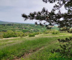 Zemljište 9200 m2 iznad sela Jazak - Fruška gora
