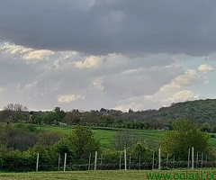Zemljište 7700 m2 iznad sela Jazak - Fruška gora