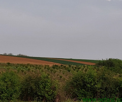 Zemljište 7700 m2 iznad sela Jazak - Fruška gora - 6