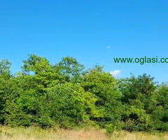 Zemljište 2450 m2 iznad sela Jazak - Fruška gora