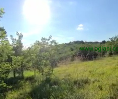 Zemljište 2450 m2 iznad sela Jazak - Fruška gora