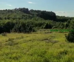 Zemljište 2450 m2 iznad sela Jazak - Fruška gora
