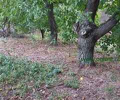 Plac na prodaju