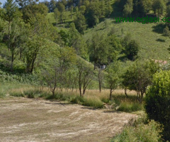 PRODAJEM 8.027 m2 zemlje, selo Jabuka, 2 km od AUTOPUTA, petlja Mateševo
