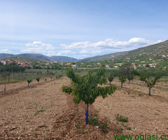 Plac, Gnojnice Mostar