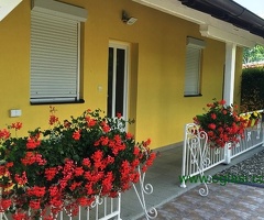 Novi Sad-Petrovaradin-Vila na placu od 14A