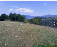 Stara planina, 18 hektara.