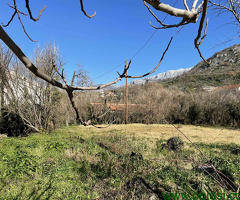 Prodaja placa Zaljevo