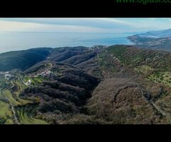 Prodaja placa Kunje