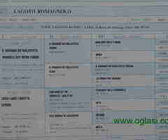 Prodajem dve zenke LAGOTTO ROMAGNOLO - 6