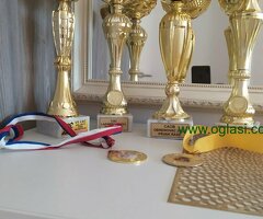 Na prodaju stenci Border collie vakcinisani i revakcinisani. - 6