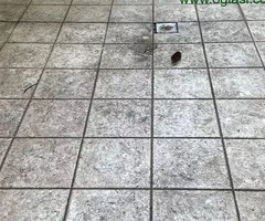 Mašinsko pranje podova - 6