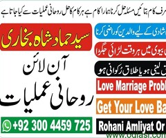 love marriage problem-divorce problem-kala jadu ka toor