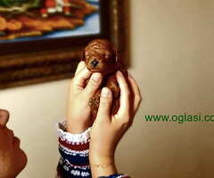 Toy pudla crvena štenci Dečak i devojčica - 6