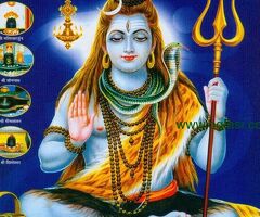 Love Marriage Specialist Baba Ji +91-9878986116