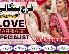 Professional MANPASAND shadi ka asli taweez dene wale amil baba in pakistan,kala ilam in canada