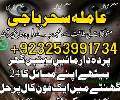 Alim baba best astrologer and love spell expert