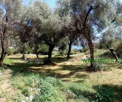 Herceg Novi, građevinski placevi na 1.7 km od centra