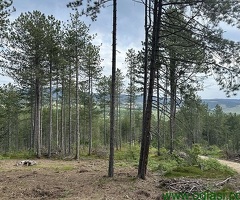 Na prodaju zemljiste ukupne povrsine 80 ari, Tometino polje - Divčibare