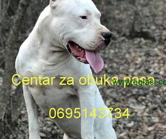 Centar za obuka pasa
