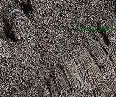 NA PRODAJU: Isečena Loza 1 KLASE za Kalemljenje (Kober BB)