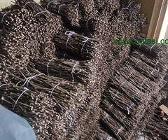 NA PRODAJU: Isečena Loza 1 KLASE za Kalemljenje (Kober BB)