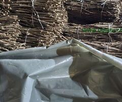 NA PRODAJU: Isečena Loza 1 KLASE za Kalemljenje (Kober BB)