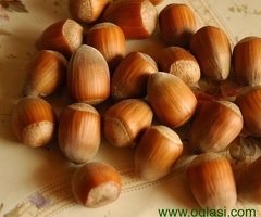 Kvalitetne sertifikovane vocne sadnice iz Rasadnika Antic