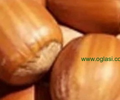 Rezervacije u toku za sadnju voćnih sadnica