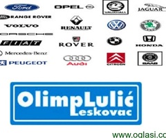 Alnaseri i alternatori Leskovac